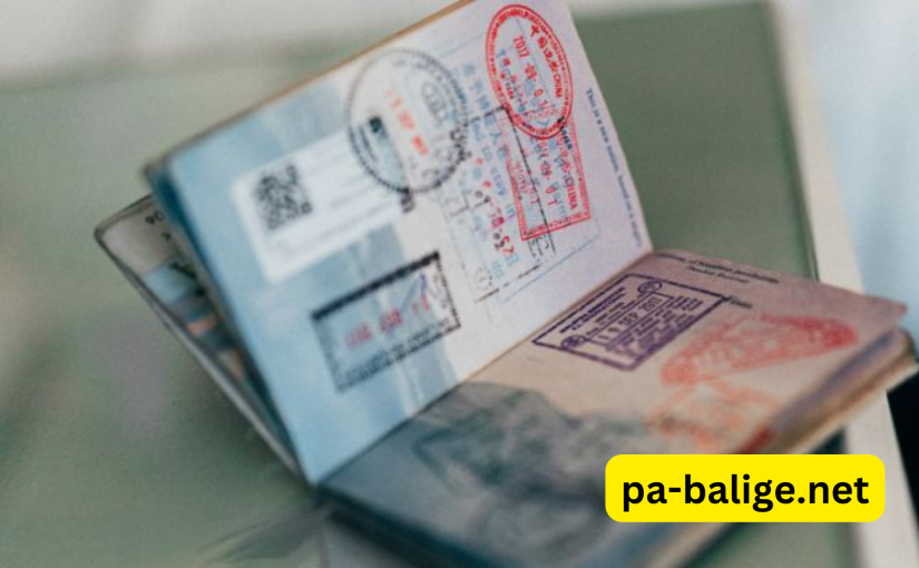 Proses Pengajuan Visa Student ke Rusia dengan Mudah